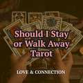 Should I Stay or Walk Away — Tarot Reading